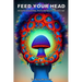 Feed Your Head: Rediscovering Psychedelic Medicine