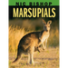 Nic Bishop: Marsupials