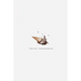 icecreamdumptruck