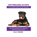 Rottweilers as Pets: Rottweilers General Info, Purchasing, Care, Cost, Keeping, Health, Supplies, Food, Breeding and More Included! The Ult