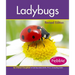 Ladybugs
