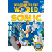 Welcome to the World of Sonic