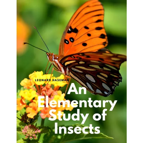 An Elementary Study of Insects