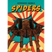 Spiders