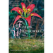 Florida Wildflowers: A Comprehensive Guide