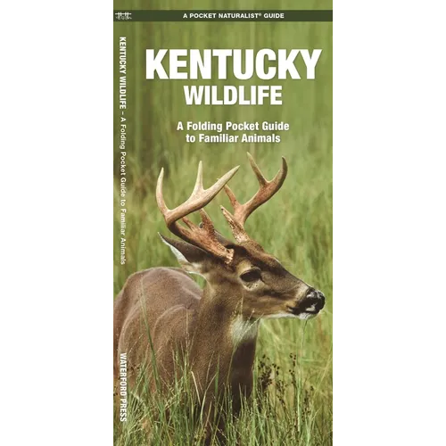 Kentucky Wildlife: A Folding Pocket Guide to Familiar Animals