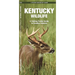 Kentucky Wildlife: A Folding Pocket Guide to Familiar Animals
