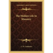The Hidden Life in Masonry