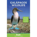 Galapagos Wildlife