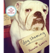 Dog Shaming