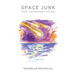 Space Junk from the Heavenly Palace