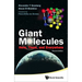 Giant Molecules: Here, There, and Everywhere (2nd Edition)