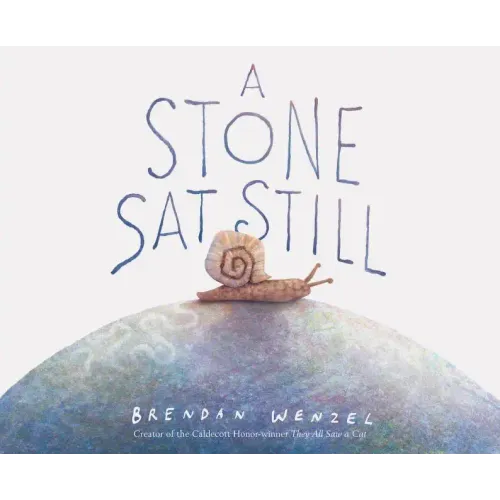 A Stone SAT Still