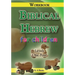 Biblical Hebrew for Children Workbook