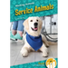 Service Animals