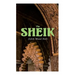 The Sheik: Desert Romance