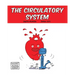 The Circulatory System