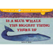 Is a Blue Whale the Biggest Thing There Is?