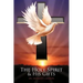 The Holy Spirit and His Gifts