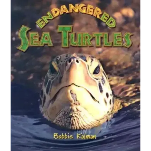 Endangered Sea Turtles