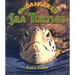 Endangered Sea Turtles