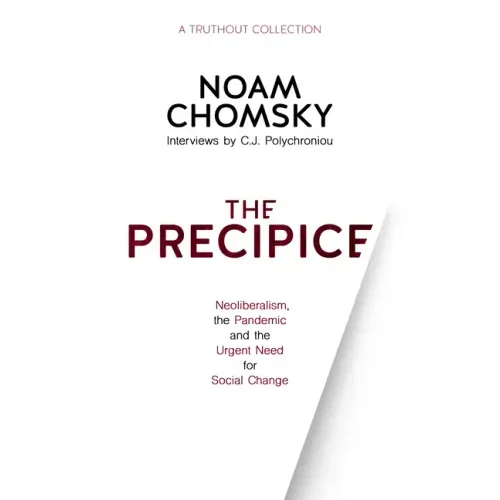 The Precipice: Neoliberalism, the Pandemic and Urgent Need for Social Change