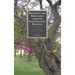 Resilience and Resistance Through Contemplative Practice: Zen and the Anxious Academic