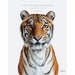 Animal Kingdom: A Collection of Portraits