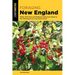 Foraging New England