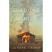 Shadows in the Mind's Eye