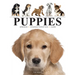 Puppies