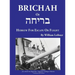 Brichah: (Hebrew for Escape or Flight)