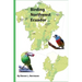Birding Northwest Ecuador