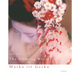 The Alluring World of Maiko and Geiko