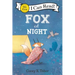 Fox at Night