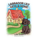 Labrador Lily Gets A Home