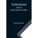 The Blind Brother: A Story of the Pennsylvania Coal Mines