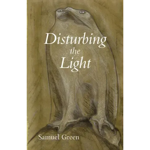 Disturbing the Light
