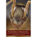Invertebrata Enigmatica: Giant Spiders, Dangerous Insects, and Other Strange Invertebrates in Classic Science Fiction and Fantasy