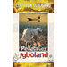 Folktales From Igboland