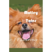 Motley Tales