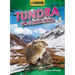 Tundra Life Connections