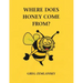 Where Does Honey Come From?