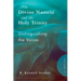 The Divine Name(s) and the Holy Trinity, Volume One: Distinguishing the Voices