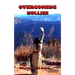 Overcoming Bullies: The Third Step on the Native Strength Path
