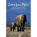 Letters from Africa: Travel Stories from an Adventuresome Soul