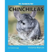 My Favorite Pet: Chinchillas