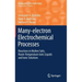 Many-Electron Electrochemical Processes: Reactions in Molten Salts, Room-Temperature Ionic Liquids and Ionic Solutions