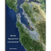 BAY AREA BLUES AND R & B IN THE 40s AND 50s