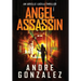 Angel Assassin (Arielle Lucila Series, Book 1)